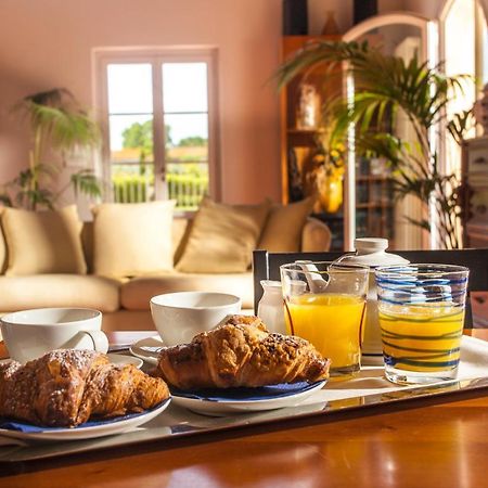 Cascina Canova B&B Сан-Джуліано-Терме Екстер'єр фото