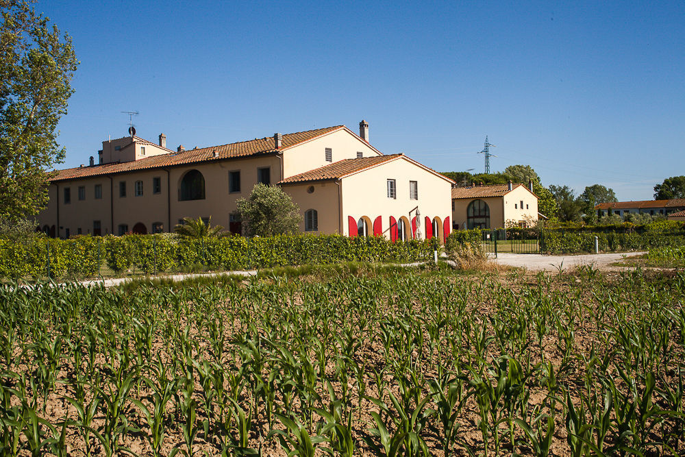 Cascina Canova B&B Сан-Джуліано-Терме Екстер'єр фото