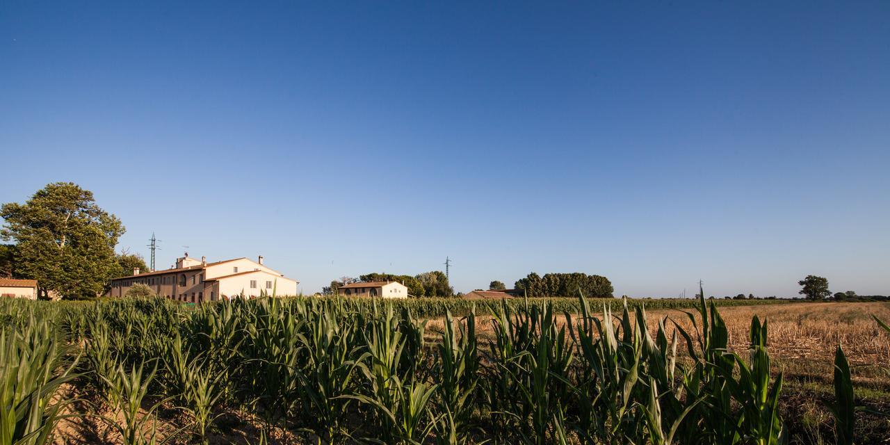 Cascina Canova B&B Сан-Джуліано-Терме Екстер'єр фото